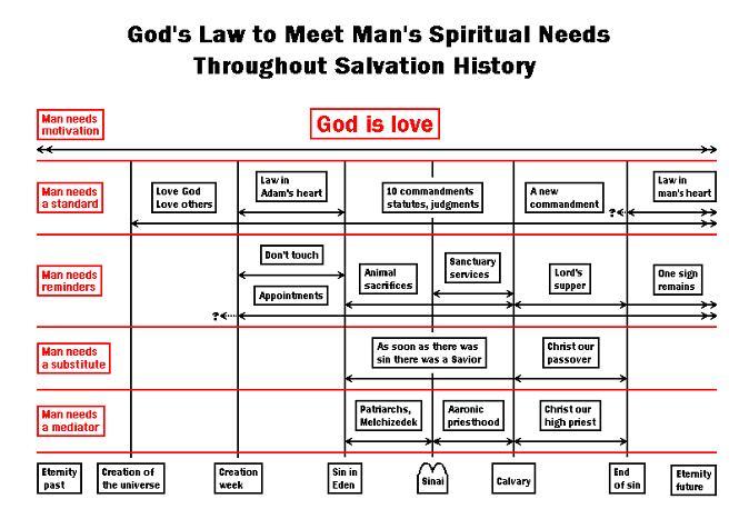 God's law to meet man's needs