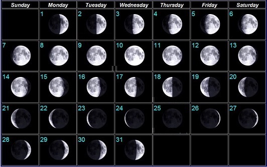 Moon Phases