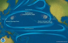 Pacific gyre