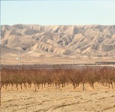 California drought
