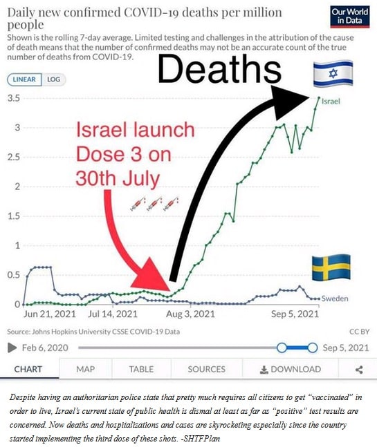Israeli deaths
