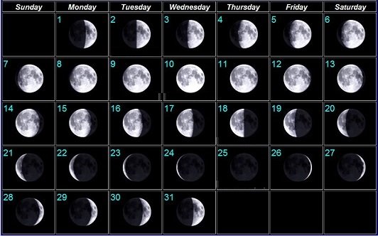 Moon Phases