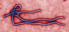 Ebola inU.S.