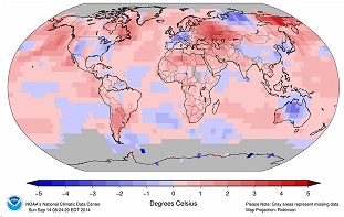 Warmest Year