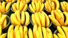 Bananas