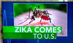 Zika Virus